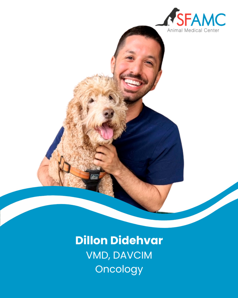 Dillon Didehvar VMD, DAVCIM Oncology